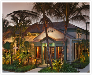 Bimini Twist Gallery